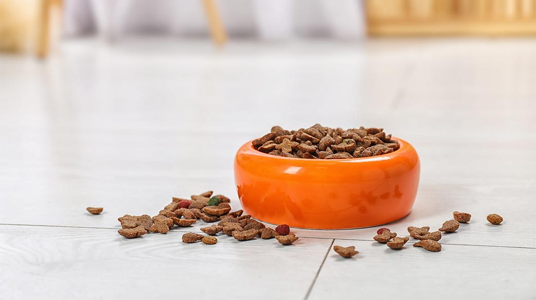 业者藉“宠物人性化”趋势加速成长