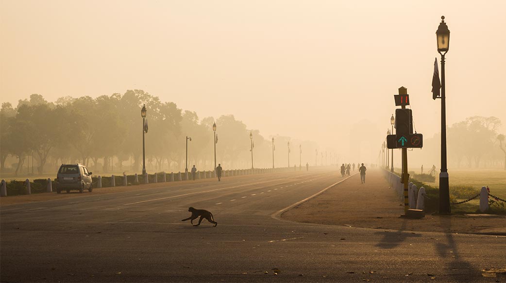 印度新德里，全球空污最严重的城市
