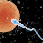 捐精者精子缺陷，导致上百名新生儿自带癌症基因