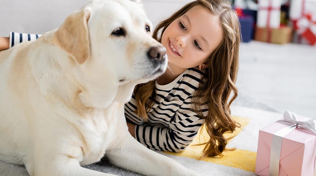 2025节日宠物经济趋势调查