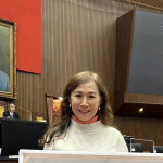 林宜瑾撤案，顯示民進黨對憲政的幼稚