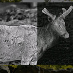 ApexVision在2026年CES上首次亮相：高德智感引領熱成像進入超清晰時代