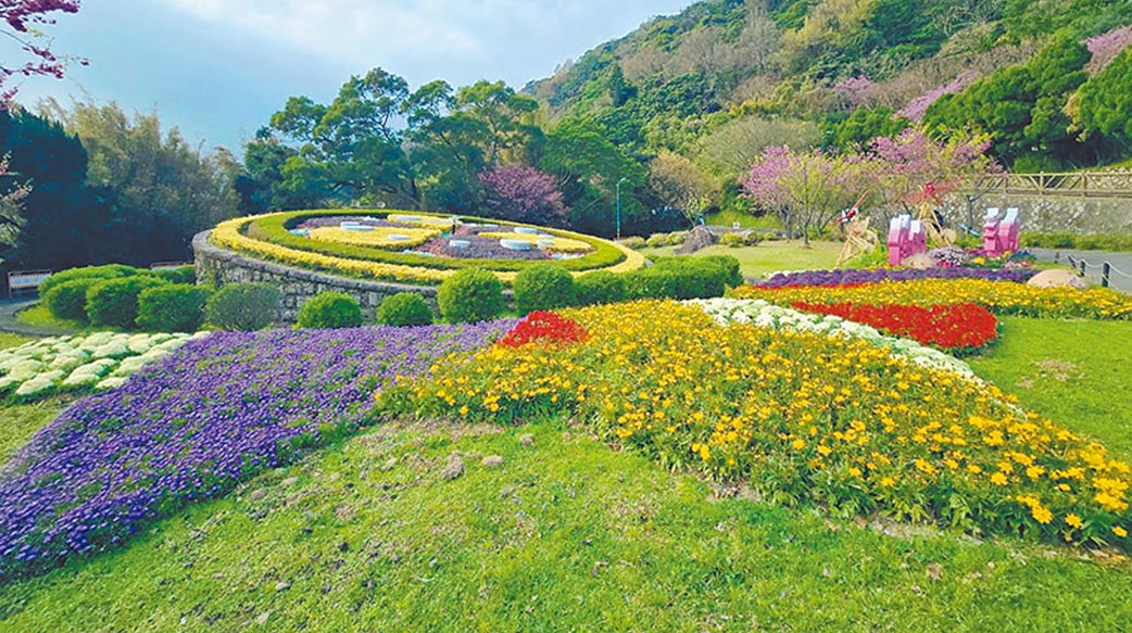 連假到陽明山走春 櫻花雲霧間向山舉目讚美造物主