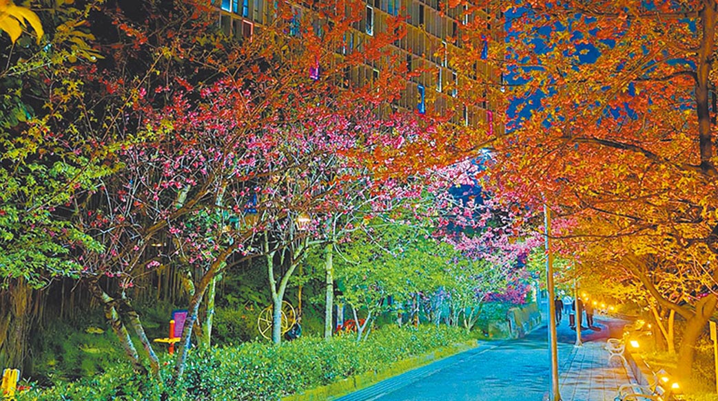 「櫻」姿煥發傳遞春天已近 走進新北近郊感受神的奇妙創造