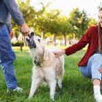 亚太区宠物饲养新趋势