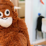 因为Punch，Ikea绒毛玩偶出现抢购潮