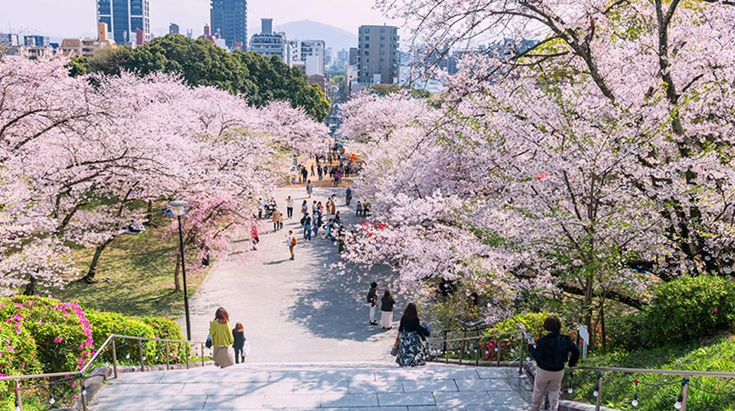 走讀九州山海慢旅行──阿蘇火山口、高千穗峽與福岡城