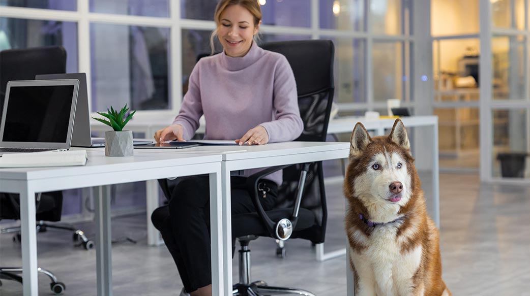 远端工作重塑宠物趋势