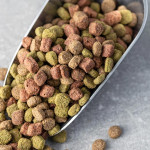 宠物食品替代蛋白新突破