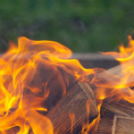 烧木头发电恐加剧地球暖化