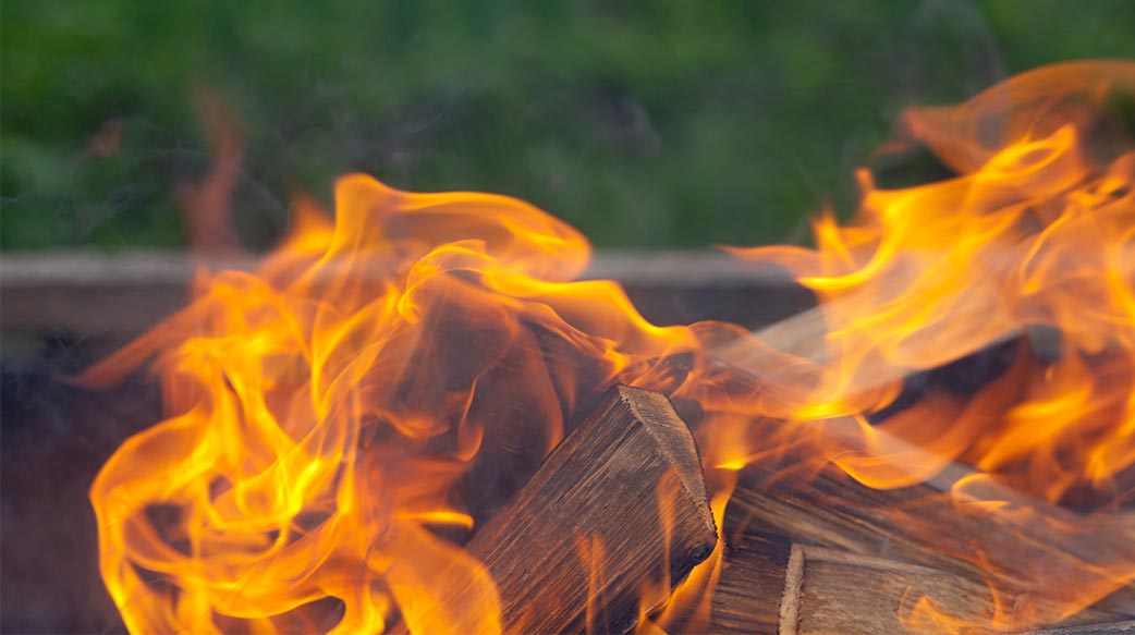 烧木头发电恐加剧地球暖化