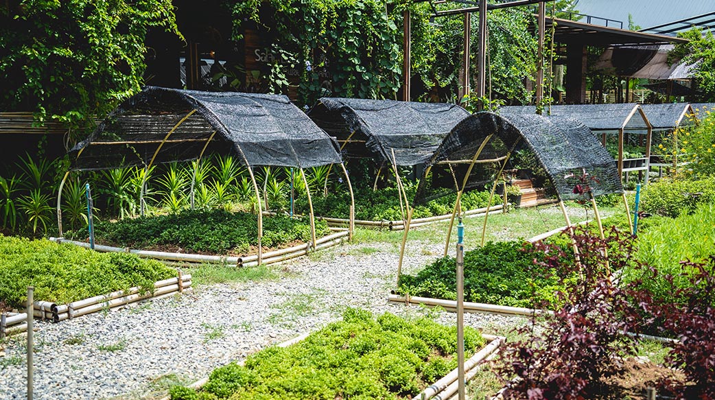 《兔子效应》：原来“善良”比医药更能延年益寿