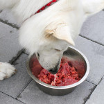 南非宠物产业大洗牌