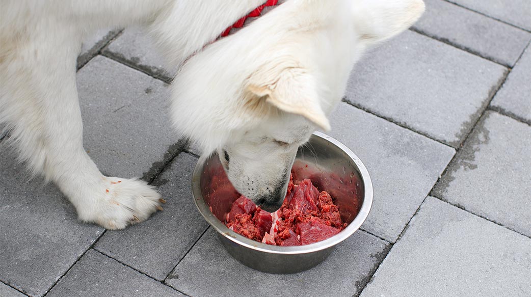 南非宠物产业大洗牌