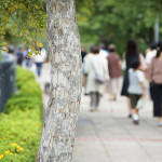 「人車共用」人行道是人本交通的倒退 「人車共用」人行道是人本交通的倒退