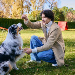专家传授7招帮助爱犬轻松解闷